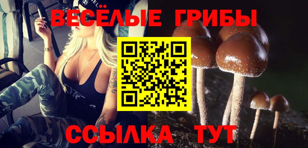 Долгопрудный  Галлюциногенные грибы Cubensis  Псилоцибиновые грибы ЛСД  Вход с VPN 